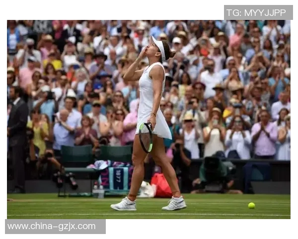 李娜与毛瑞斯莫巅峰对决回顾：网球场上的传奇之战与激情碰撞